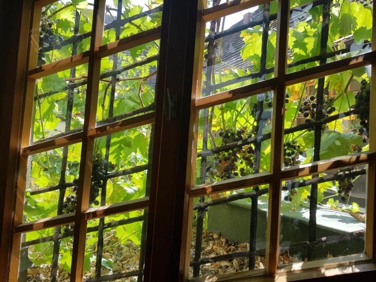 Hotel Restaurant Toscana Naumburg Νάουμπουργκ Εξωτερικό φωτογραφία