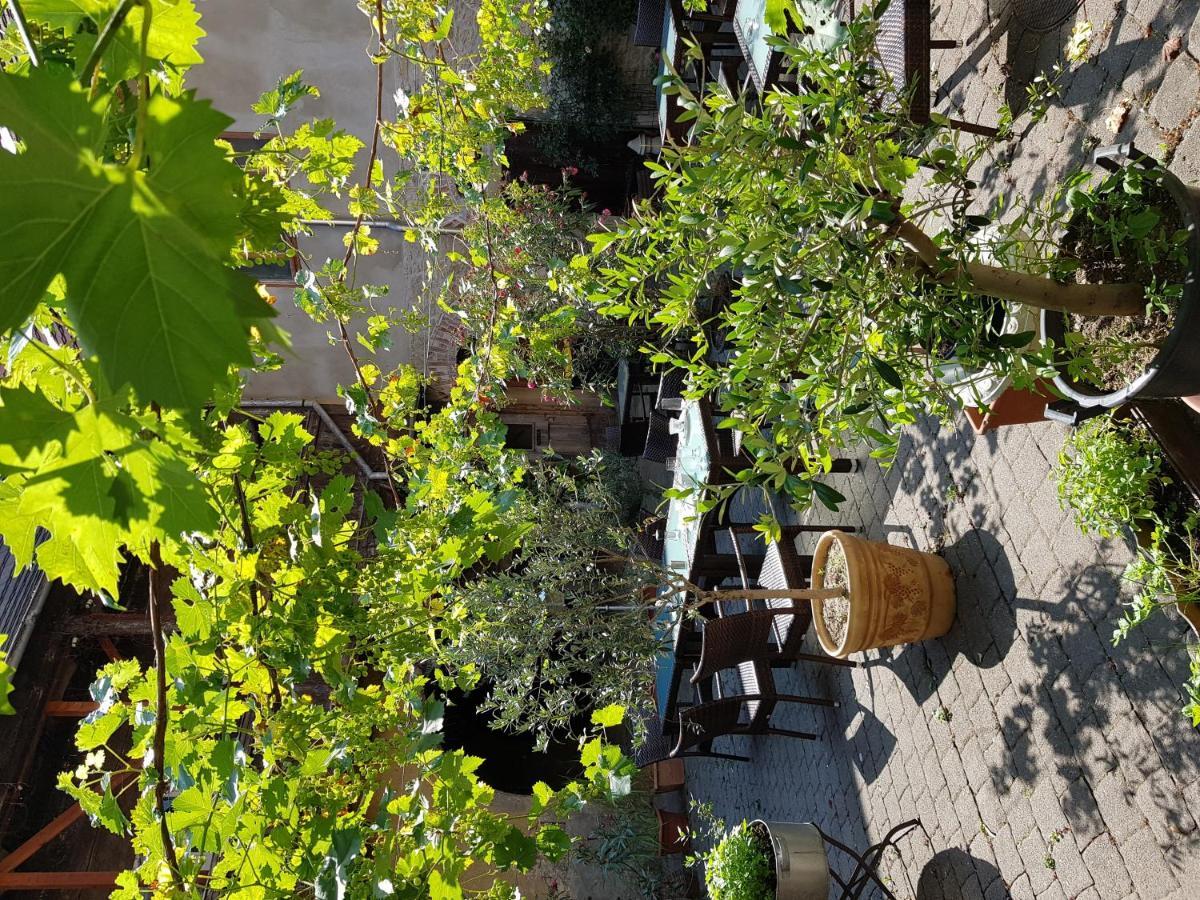 Hotel Restaurant Toscana Naumburg Εξωτερικό φωτογραφία